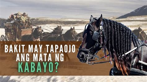 tapahoho in english|Tapahoho ng kabayo in English with contextual examples.